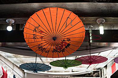 艾尔登法环新视频：死亡之鸟、龙鳞老人等敌人